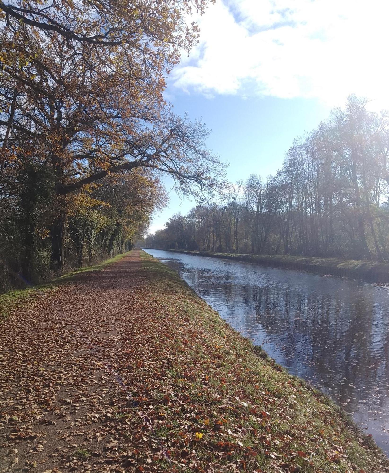 La Halte Du Canal Luthenay-Uxeloup Exterior photo